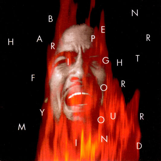 Ben Harper - Fight For Your Mind