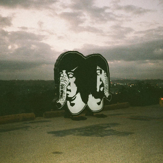 Death From Above 1979 - The Physical World (11th Anniversary Pink Splotch)