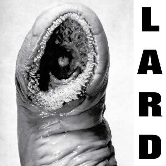 Lard – Power of Lard EP (Black vinyl)