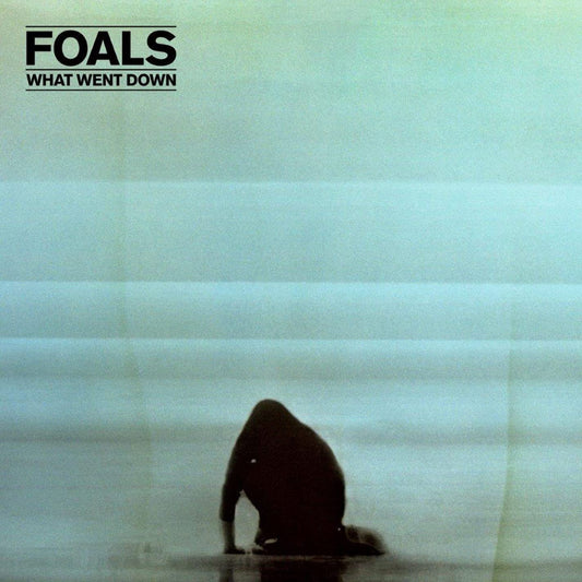 Foals – What Went Down