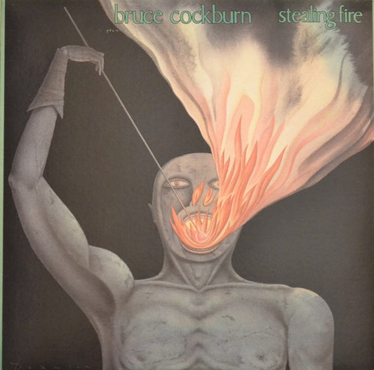 Bruce Cockburn ‎– Stealing Fire