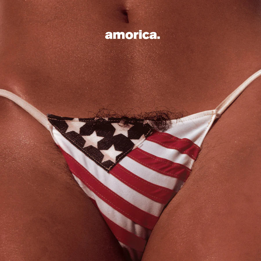 The Black Crowes - Amorica