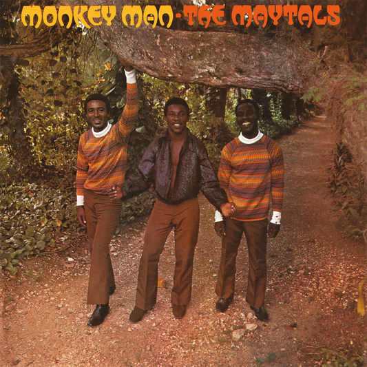 Maytals - Monkey Man (MOV)